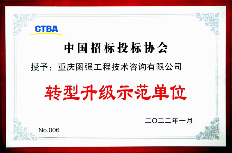 4 中國(guó)招標(biāo)投標(biāo)協(xié)會(huì)轉(zhuǎn)型升級(jí)示范單位.jpg